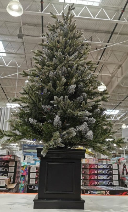4.5' Pre- Lit Radiant Potted Christmas Tree